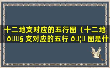 十二地支对应的五行图（十二地 🐧 支对应的五行 🦟 图是什么）